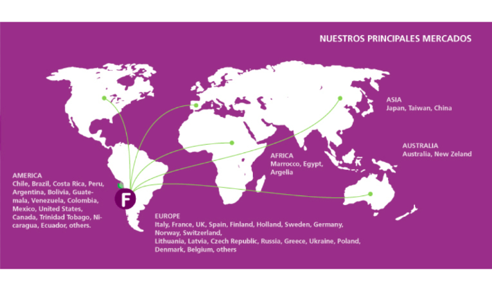 Acerca de nuestra empresa